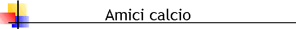 Amici calcio